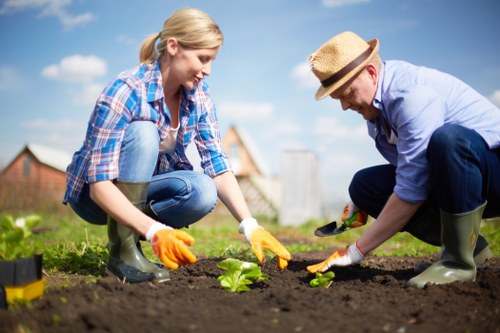 Diverse community garden in Seven Kings